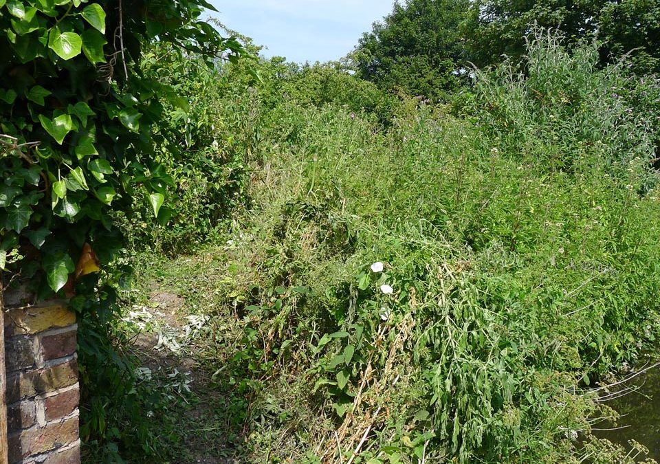 Milbury-Harefield-P1010604