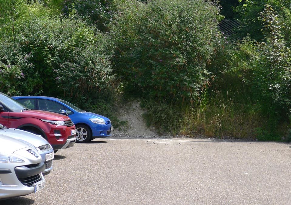 Milbury-Harefield-P1010620