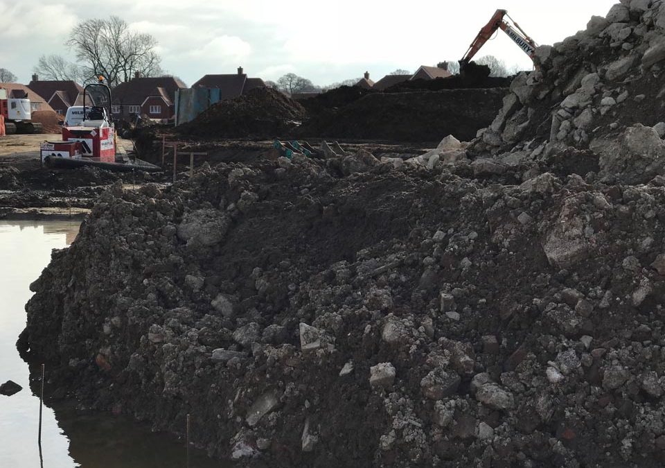 Milbury-Thakeham-IMG_0649