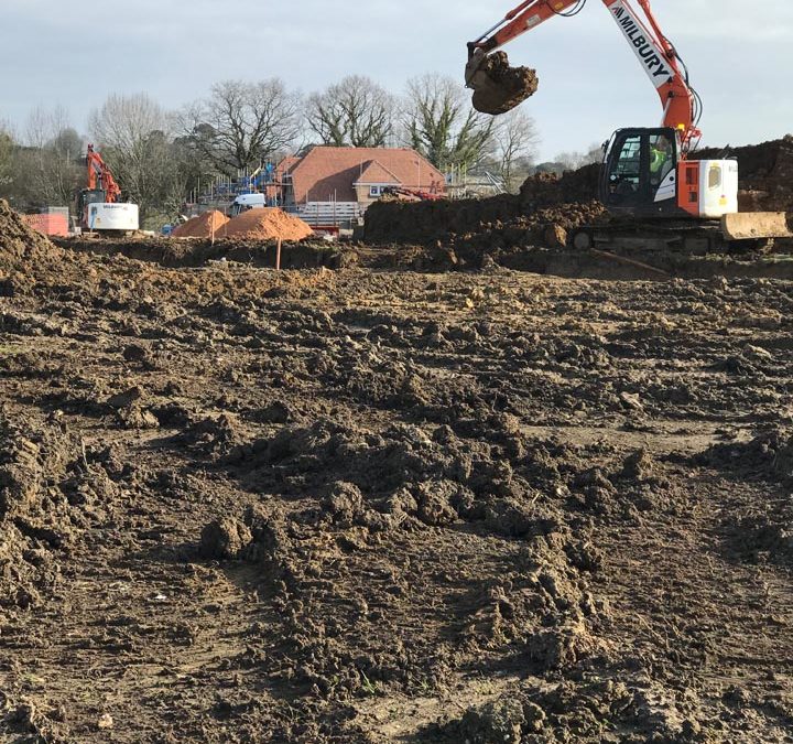 Milbury-Thakeham-IMG_0653