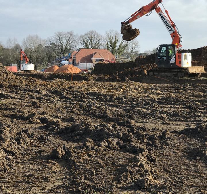 Milbury-Thakeham-IMG_0654